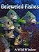 Photo Bejeweled Fishes review