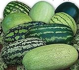CEMEHA SEEDS - Watermelon Alibaba Giant Mix Non GMO Fruits for Planting Photo, new 2024, best price $6.95 ($0.23 / Count) review