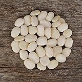 Henderson's Bush Lima Bean - 50 Seeds - Heirloom & Open-Pollinated Variety, USA-Grown, Non-GMO Vegetable/Dry Bean Seeds for Planting Outdoors in The Home Garden, Thresh Seed Company Photo, new 2024, best price $7.99 review