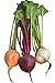 Photo Burpee Three Color Blend Beet Seeds 200 seeds review