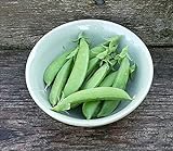 Pea Seed, Sugar Snap Pea, Heirloom, Non GMO, 50 Seeds, Perfect Peas, Country Creek Acres Photo, new 2024, best price $2.99 ($0.06 / Count) review