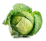 Brunswick Cabbage Seeds, 300 Heirloom Seeds Per Packet, Non GMO Seeds, Botanical Name: Brassica oleracea, Isla's Garden Seeds Photo, new 2024, best price $5.69 ($0.02 / Count) review