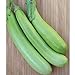 Photo Lousiana Long Green Eggplant Seeds (30+ Seed Package) review
