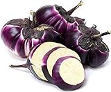 Barbarella Eggplant Seeds, 20+ Seeds Per Packet, (Isla's Garden Seeds), Non GMO & Heirloom Seeds, Botanical Name: Solanum melongena Photo, new 2024, best price $6.99 ($0.35 / Count) review