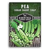 Survival Garden Seeds - Sugar Daddy Snap Pea Seed for Planting - Packet with Instructions to Plant and Grow in Delicious Pea Pods Your Home Vegetable Garden - Non-GMO Heirloom Variety Photo, new 2024, best price $5.49 review