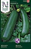 Zucchini Samen für Gemüsegarten - Nelson Garden Saatgut - Zucchini Diamant F1 (15 Stück) (Zucchini, Diamant F1, Einzelpackung) Foto, neu 2024, bester Preis 4,95 € Rezension