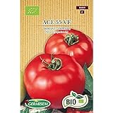 Germisem Orgánica ACE 55 VF Semillas de Tomate 0.5 g (ECBIO8019) Foto, nuevo 2024, mejor precio 3,99 € revisión