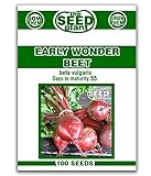 Early Wonder Beet Seeds - 100 Seeds Non-GMO Photo, new 2024, best price $1.79 ($0.02 / Count) review