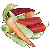 Burpee Sweet Banana Sweet Pepper Seeds 150 seeds Photo, new 2024, best price $6.74 ($0.04 / Count) review