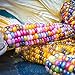 Foto Masoke SemillaCasa - Raras Semillas de Palomitas de Maíz Colorido Dulce Harina de Maíz Mazorcas de Maíz Semillas de Verduras Semillas de Maíz (50 Pcs) revisión