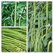 Photo Long Bean Seeds 30g Snake Yard-Long Asparagus Bean Red Noodle Pole Bean Garden Vegetable Green Fresh Chinese Seeds for Planting Outside Door Cooking Dish Taste Sweet Delicious review