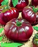 CEMEHA SEEDS - Black Prince Tomato Determinate Non GMO Vegetable for Planting Photo, new 2024, best price $6.95 ($0.14 / Count) review