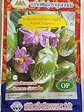 Golden Mountain Thai Round Eggplant Seeds Photo, new 2024, best price $6.99 review