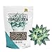 Photo Leaves and Soul Succulent Fertilizer Pellets |13-11-11 Slow Release Pellets for All Cactus and Succulents | Multi-Purpose Blend & Gardening Supplies, No Fillers | 5.2 oz Resealable Packaging review