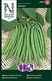 Buschbohnen Samen für Gemüsegarten - Nelson Garden Saatgut Gartenbohnen (50 Stück) - Leckere Brechbohnen Foto, neu 2024, bester Preis 4,95 € Rezension