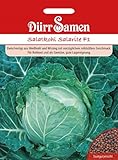 Dürr Samen 1153 Salatkohl Salarite F1 (Kohlsamen) Foto, neu 2024, bester Preis 4,11 € Rezension