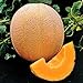 Photo Park Seed Hale's Best Organic Melon Seeds Delicious Cantaloupe Certified Organic Thick Flesh, Sweet Juicy Flavor, Pack of 20 Seeds review