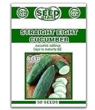 Straight Eight Cucumber Seeds - 50 Seeds Non-GMO Photo, new 2024, best price $1.59 ($0.03 / Count) review