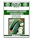 Photo Straight Eight Cucumber Seeds - 50 Seeds Non-GMO review
