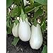Photo White Star Eggplant Seeds(Hybrid) Seeds (40 Seed Pack) review