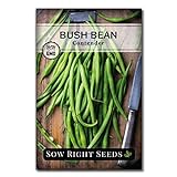 Sow Right Seeds - Contender Green Bean Seed for Planting - Non-GMO Heirloom Packet with Instructions to Plant a Home Vegetable Garden Photo, new 2024, best price $5.49 review