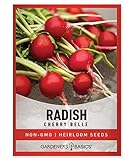 Radish Seeds for Planting - Cherry Belle Variety Heirloom, Non-GMO Vegetable Seed - 2 Grams of Seeds Great for Outdoor Spring, Winter and Fall Gardening by Gardeners Basics Photo, new 2024, best price $4.95 review