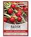 Photo Radish Seeds for Planting - Cherry Belle Variety Heirloom, Non-GMO Vegetable Seed - 2 Grams of Seeds Great for Outdoor Spring, Winter and Fall Gardening by Gardeners Basics review