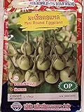 Golden Mountain Thai Mini Round Eggplant Seeds Photo, new 2024, best price $6.99 review