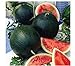 Photo Watermelon, Black Diamond, Heirloom, 25 Seeds, Super Sweet Round Melon review