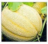 50 Hales Best Jumbo Cantaloupe | Non-GMO | Fresh Garden Seeds Photo, new 2024, best price $6.95 review
