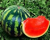 Seeds4planting - Seeds Watermelon Crimson Sweet Giant Heirloom Vegetable Non GMO Photo, new 2024, best price $8.94 review