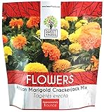African Marigold Seeds Crackerjack Mix - Bulk 1 Ounce Packet - Over 10,000 Seeds - Huge Orange and Yellow Blooms Photo, new 2024, best price $7.97 review