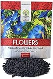 Morning Glory Seeds Heavenly Blue - Large 1 Ounce Packet - Over 1,000 Flower Seeds Photo, new 2024, best price $7.97 review