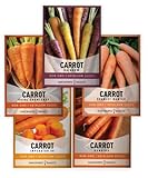 Carrot Seeds for Planting Home Garden - 5 Variety Pack Rainbow, Imperator 58, Scarlet Nantes, Bambino and Royal Chantenay Great for Spring, Summer, Fall, Heirloom Carrot Seeds by Gardeners Basics Photo, new 2024, best price $10.95 review