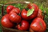 75+ Pink Brandywine Heirloom Tomato Seeds Photo, new 2024, best price $4.49 review