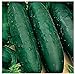 Photo 50 Marketmore 76 Cucumber Seeds | Non-GMO | Heirloom | Instant Latch Garden Seeds review