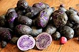 Simply Seed - Purple Majesty - Naturally Grown Seed Potatoes - 5 LB- Ready for Spring Planting Photo, new 2024, best price $25.99 ($0.32 / Ounce) review