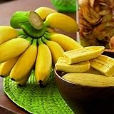 Benoon Bananensamen, 1 Beutel Bananensamen Süße Samen Mit Hoher Keimrate Frische Pflanzensamen Für Den Balkon Bananen Foto, neu 2024, bester Preis 3,93 € (0,13 € / stück) Rezension