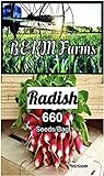 Over 660 Radish Seeds for Planting-3 Grams of Heirloom & Non-GMO Seeds with Instructions to Plant The Perfect Kitchen Herb Garden, Indoor Or Outdoor. Great Gardening Gift. Microgreens. by B&KM Farms Photo, new 2024, best price $4.49 ($0.01 / Count) review
