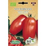 Bio Tomate San Marzano Foto, neu 2024, bester Preis 3,99 € Rezension