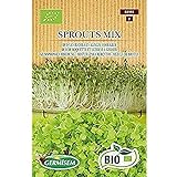 Germisem Orgánica Sprouts Mix Semillas 20 g (ECBIO1901) Foto, nuevo 2024, mejor precio 3,99 € revisión
