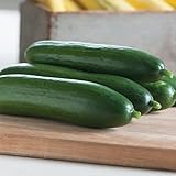 David's Garden Seeds Cucumber Slicing Diva FBA 1007 (Green) 50 Non-GMO, Open Pollinated Seeds Photo, new 2024, best price $6.45 review