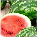 25 Cal Sweet Watermelon Seeds | Non-GMO | Heirloom | Instant Latch Garden Seeds Photo, new 2024, best price $5.95 review