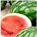 Photo 25 Cal Sweet Watermelon Seeds | Non-GMO | Heirloom | Instant Latch Garden Seeds review