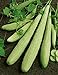 Photo David's Garden Seeds Cucumber Slicing Armenian Yard Long 9184 (Green) 25 Non-GMO, Heirloom Seeds review