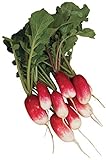 Burpee French Breakfast Organic Radish Seeds 325 seeds Photo, new 2024, best price $7.99 review
