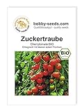 BIO-Tomatensamen Zuckertraube Cocktailtomate Portion Foto, neu 2024, bester Preis 2,95 € Rezension
