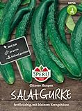 Gurkensamen - Salatgurke Chinese Slangen von Sperli-Samen Foto, neu 2024, bester Preis 2,17 € Rezension