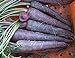 Photo David's Garden Seeds Carrot Purple Sun 1123 (Purple) 200 Non-GMO, Hybrid Seeds review
