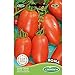 Foto Germisem Roma Semillas de Tomate 1 g, EC8011 revisión